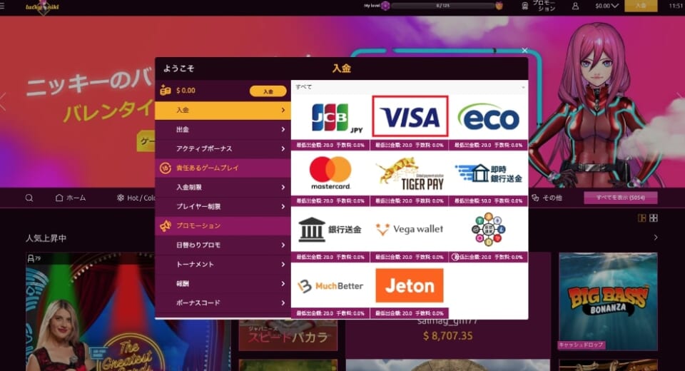 クレジットカード　VISA