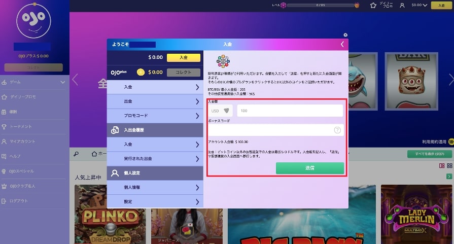 ②利用している通貨と仮想通貨、希望入金額とボーナスコード（任意）を入力して「送信」をクリックすることで入金が完了します。